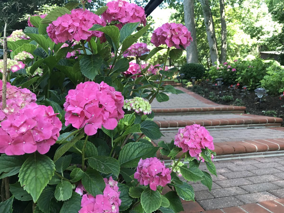 Gramercy Mansion Stevenson エクステリア 写真